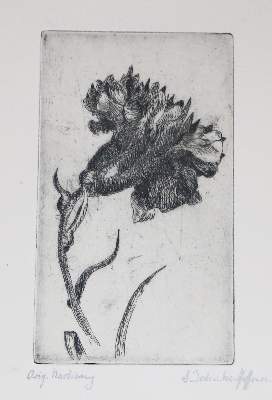 Bild Nr.2: 136-3566 Jahncke-Hoffmann, Annemarie: (Künstlergraphik)