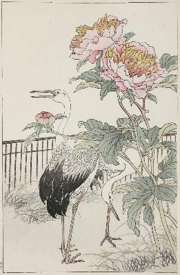 Bild Nr.1: 136-3578 Barei, Kono: (Künstlergraphik, Japan)