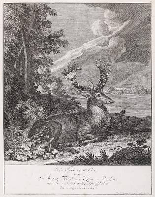 Bild Nr.2: 136-3987 Ridinger, Johann Elias: (Künstlergraphik)