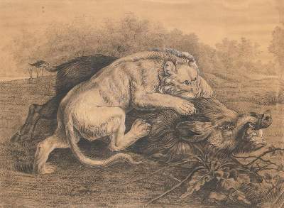 Bild Nr.1: 136-4108 Snyders, Frans: (Künstlergraphik)