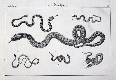 Bild Nr.110: 136-489 Konvolut: (Varia)