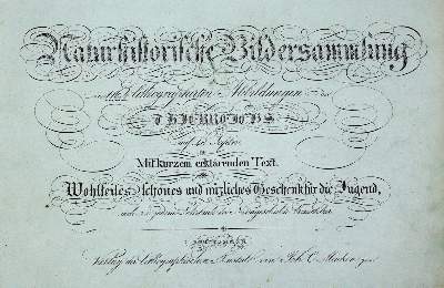 Bild Nr.111: 136-489 Konvolut: (Varia)