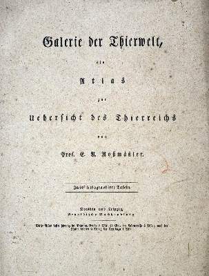 Bild Nr.117: 136-489 Konvolut: (Varia)