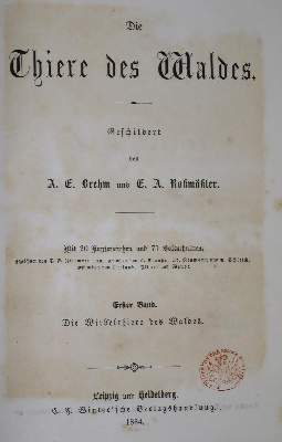 Bild Nr.1: 136-610 Brehm,A.E. u. E.A.Roßmäßler.: (Jagd)