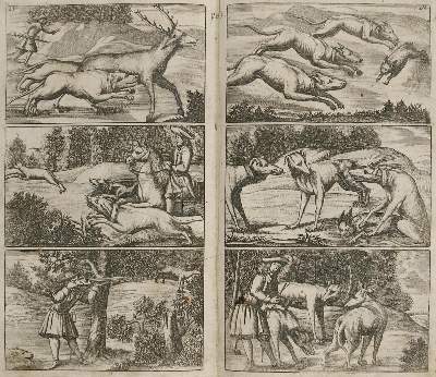 Bild Nr.2: 136-617 Täntzer,J.: (Jagd)