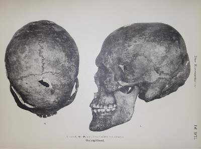 Bild Nr.1: 136-660 Retzius,G.: (Archäologie)