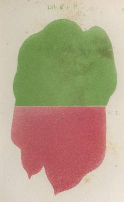 Bild Nr.1: 136-697 Hundertpfund,L.: (Kunstwissenschaft)