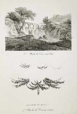Bild Nr.4: 136-707 Mandevare,A.M.: (Kunstwissenschaft)