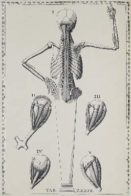 Bild Nr.1: 136-775 Eustachius, B.,: (Faksimile)