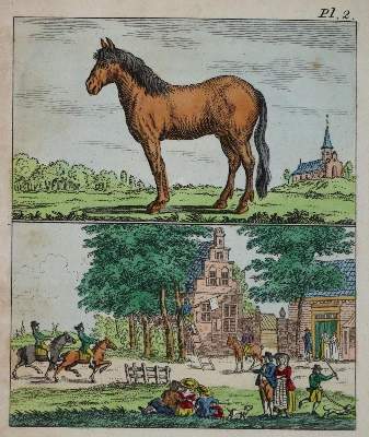 Bild Nr.3: 136-891 Aangename Tijdkorting: (Kinder- und Jugendbücher)
