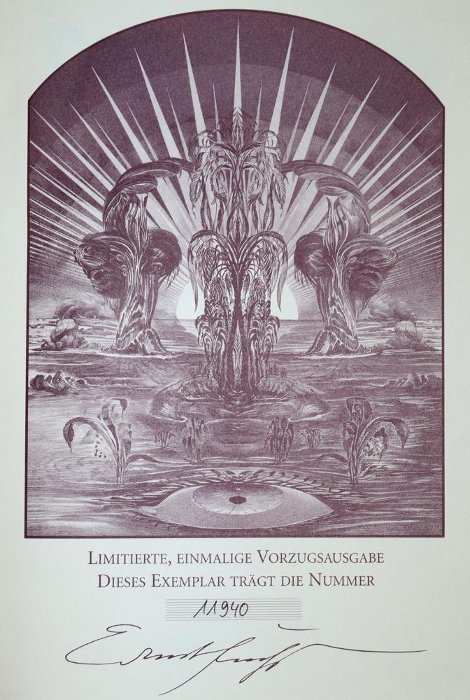 Große Abbildung Nr.3: 137-1196 Bibel, Die.: (Fuchs)