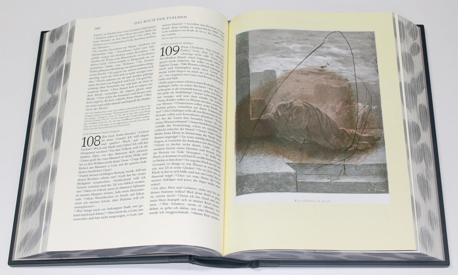Große Abbildung Nr.5: 137-1341 Bibel, Die.: (Rainer, Arnulf, Bibeln)