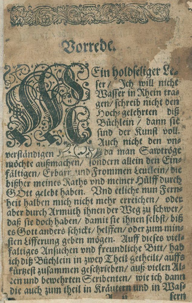 Große Abbildung Nr.1: 137-1418 Apollinaris,Q. (d.i. W.H.Ryff).: (Botanik, Kräuterbücher)