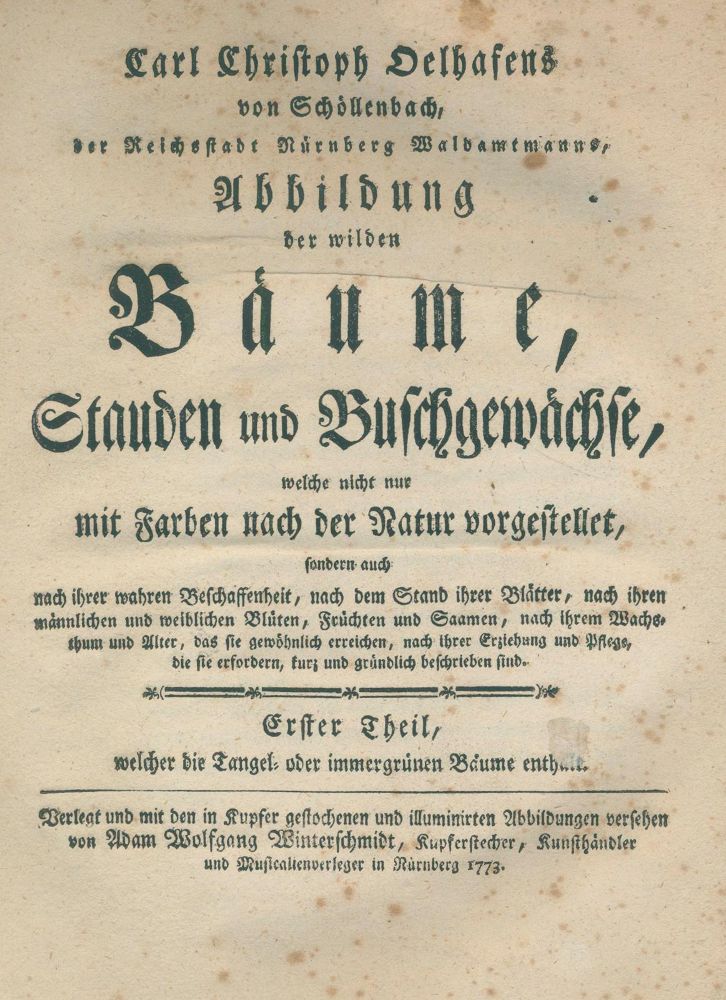 Große Abbildung Nr.1: 137-1427 Oelhafen von Schöllenbach,C.C.: (Botanik)