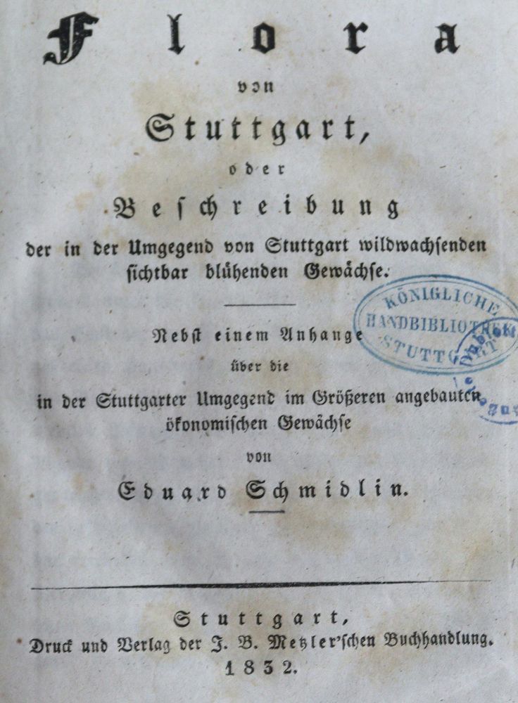 Große Abbildung Nr.1: 137-1431 Schmidlin,E.: (Botanik, Stuttgart)