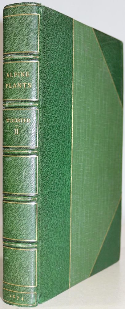 Große Abbildung Nr.3: 137-1432 Wooster,D.: (Botanik)