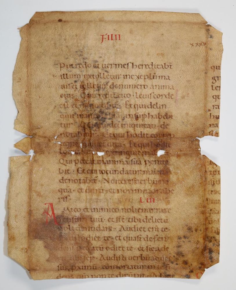 Große Abbildung Nr.1: 137-148 Fragment: (Handschriften, Bibeln)