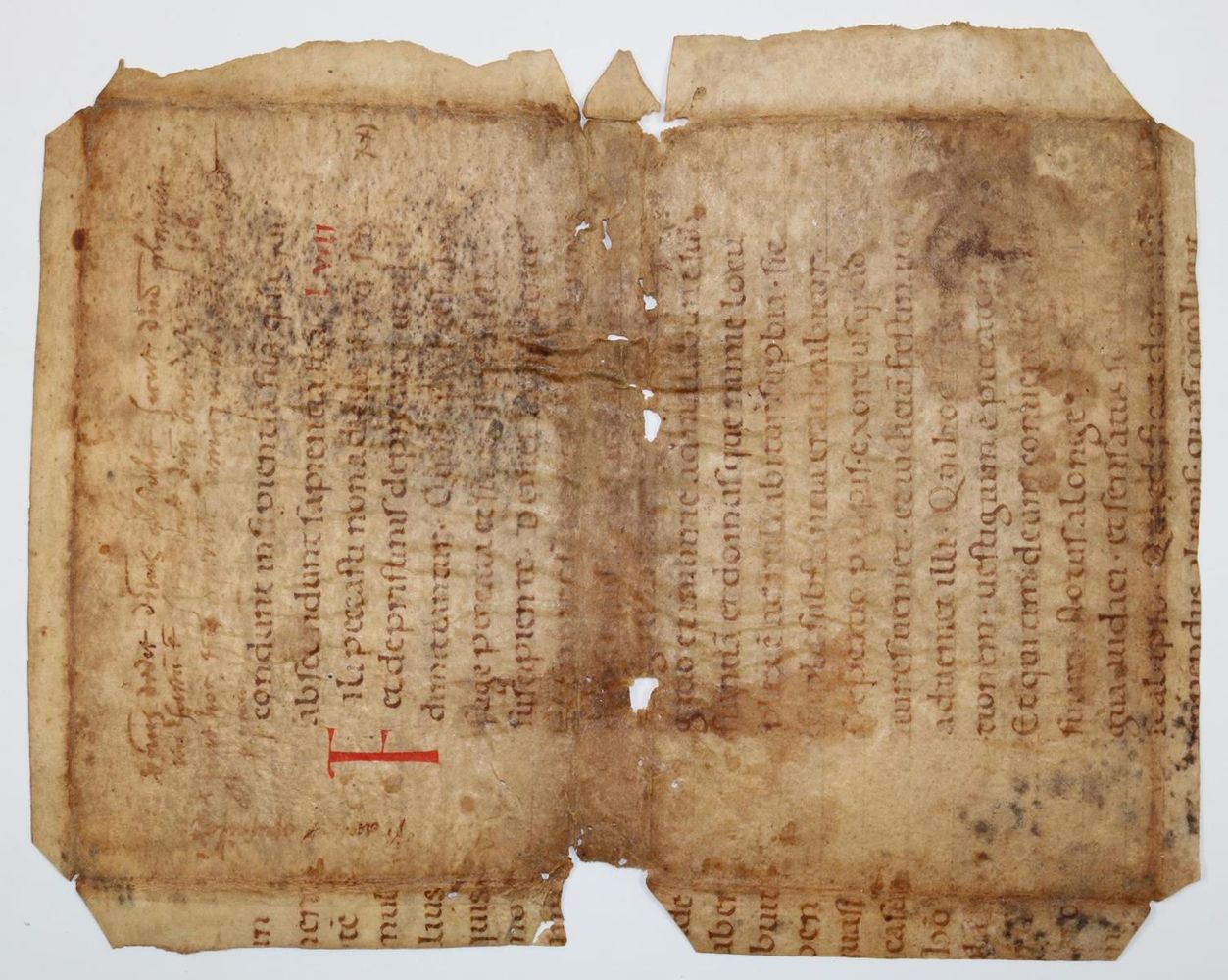 Große Abbildung Nr.2: 137-148 Fragment: (Handschriften, Bibeln)