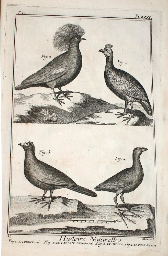 Große Abbildung Nr.1: 137-1493 Diderot,D. u. J.d'Alembert.: (Zoologie)