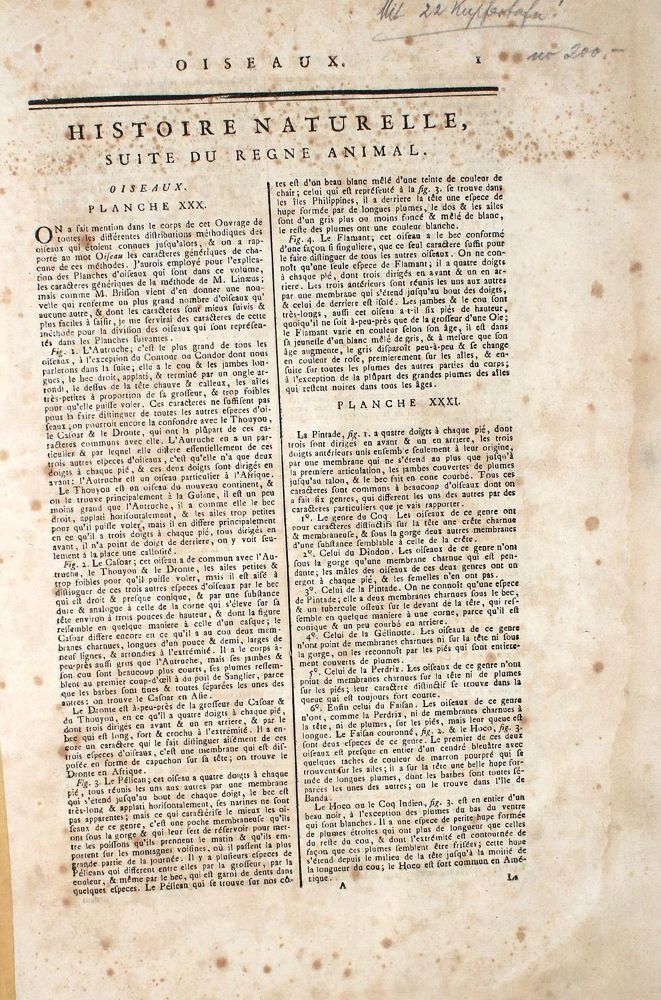 Große Abbildung Nr.2: 137-1493 Diderot,D. u. J.d'Alembert.: (Zoologie)