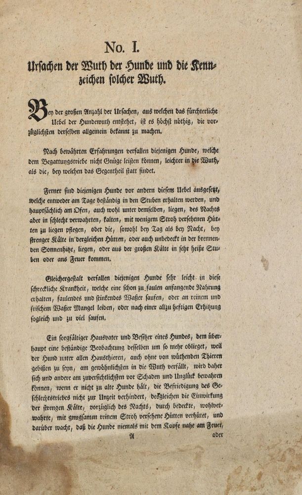 Große Abbildung Nr.1: 137-1496 Ursachen: (Zoologie, Hunde)