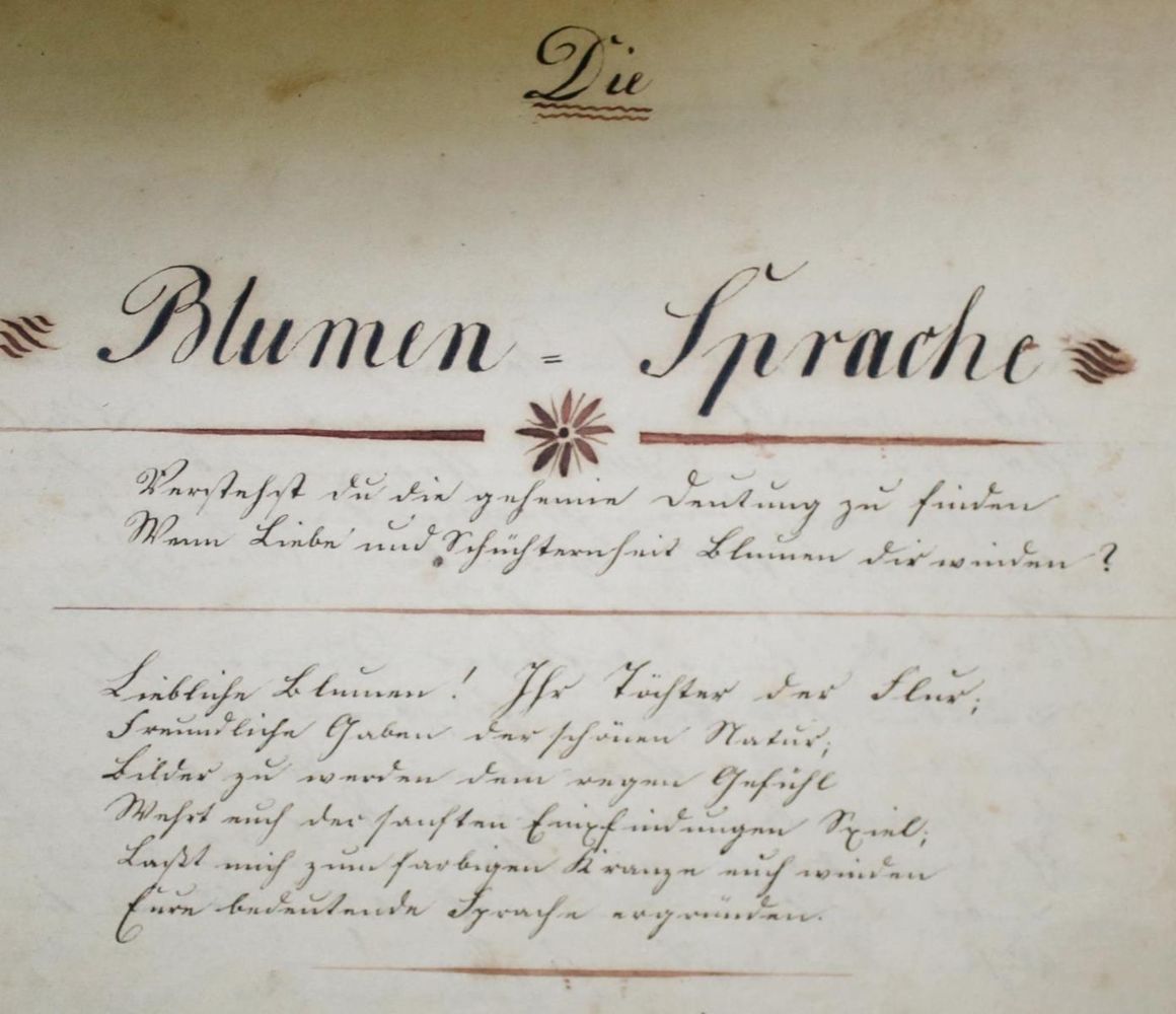Große Abbildung Nr.1: 137-150 Blumensprache, Die.: (Handschriften)