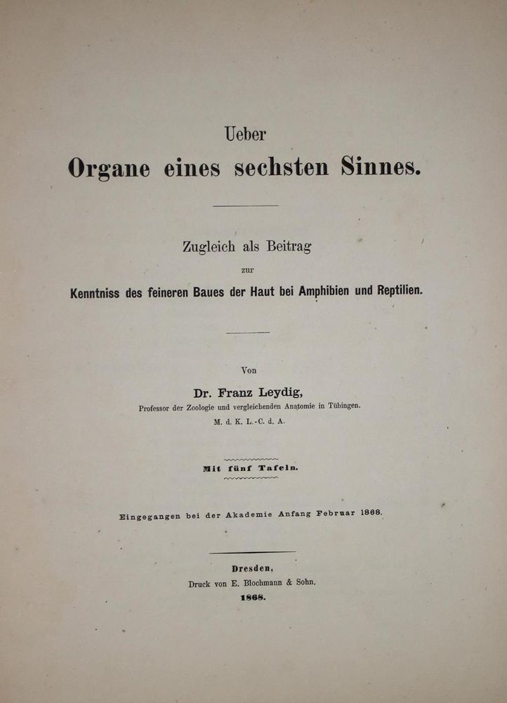 Große Abbildung Nr.2: 137-1501 Mathieu,A.: (Zoologie)
