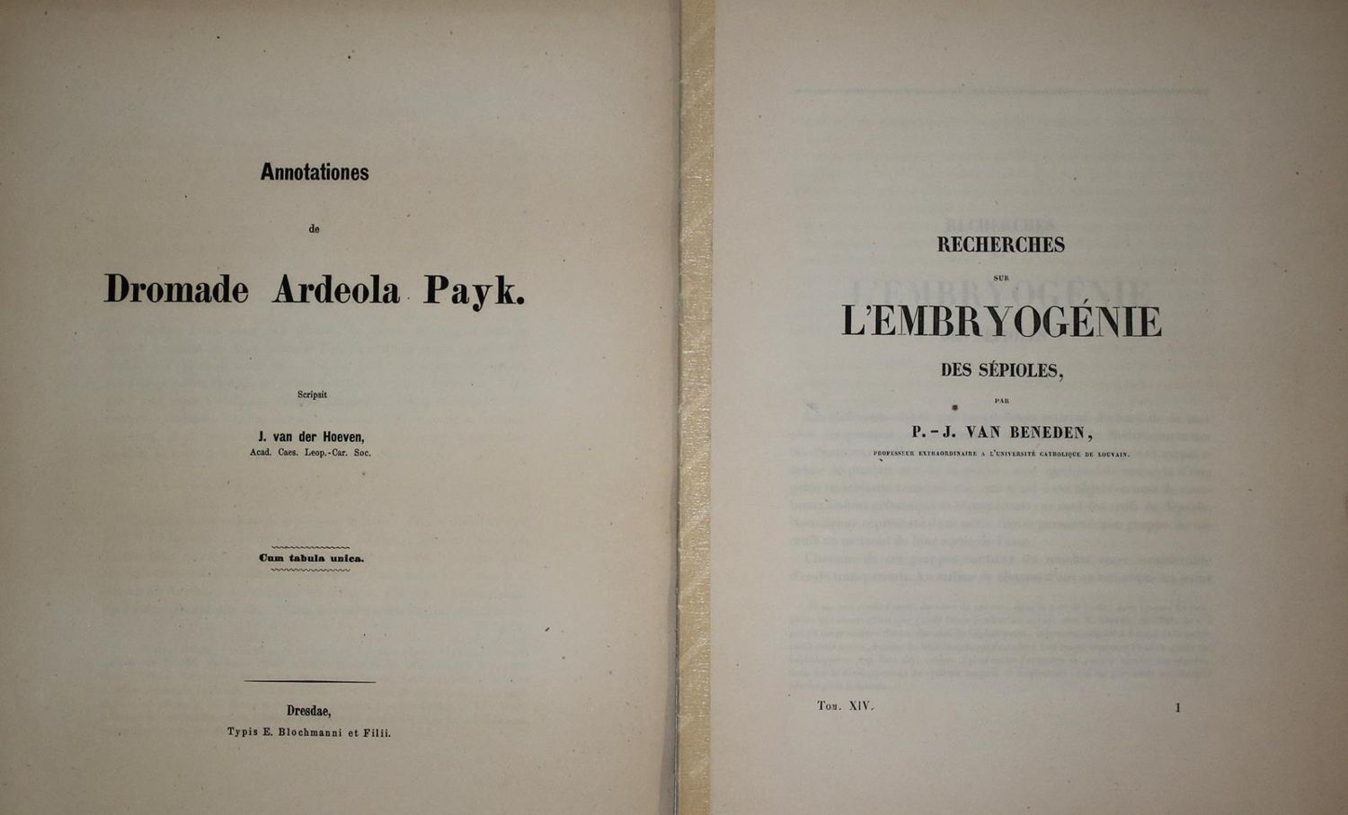 Große Abbildung Nr.6: 137-1501 Mathieu,A.: (Zoologie)