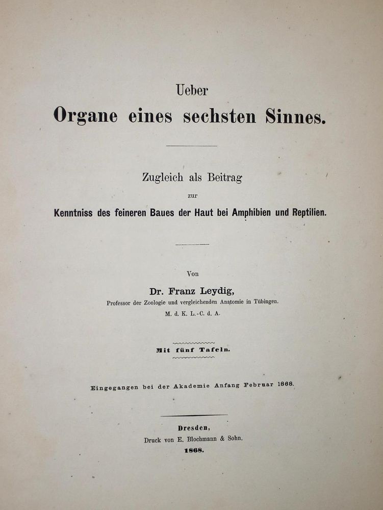 Große Abbildung Nr.7: 137-1501 Mathieu,A.: (Zoologie)