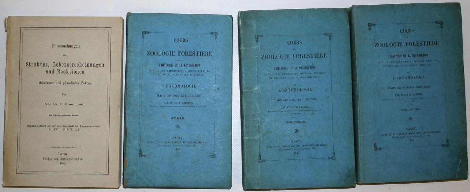 Große Abbildung Nr.8: 137-1501 Mathieu,A.: (Zoologie)