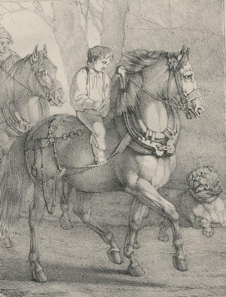 Große Abbildung Nr.35: 137-1505 Volmar, Joseph Simon: (Zoologie, Pferde)
