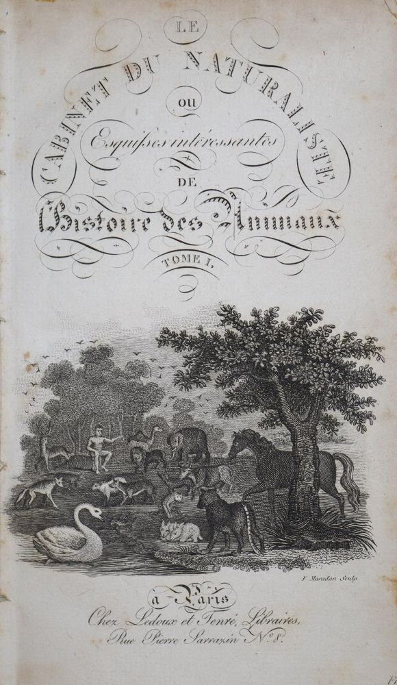 Große Abbildung Nr.2: 137-1508 Smith,T.: (Zoologie)