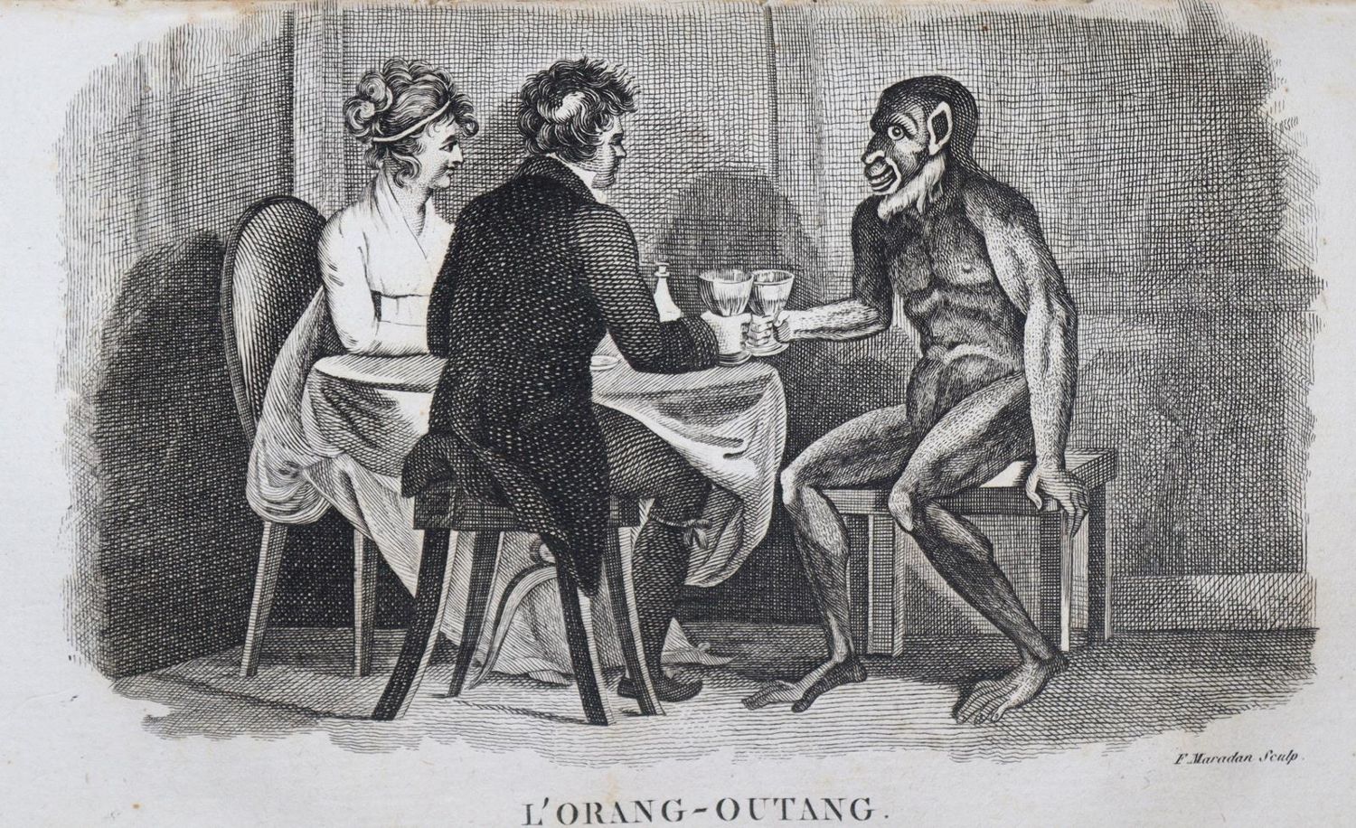 Große Abbildung Nr.3: 137-1508 Smith,T.: (Zoologie)