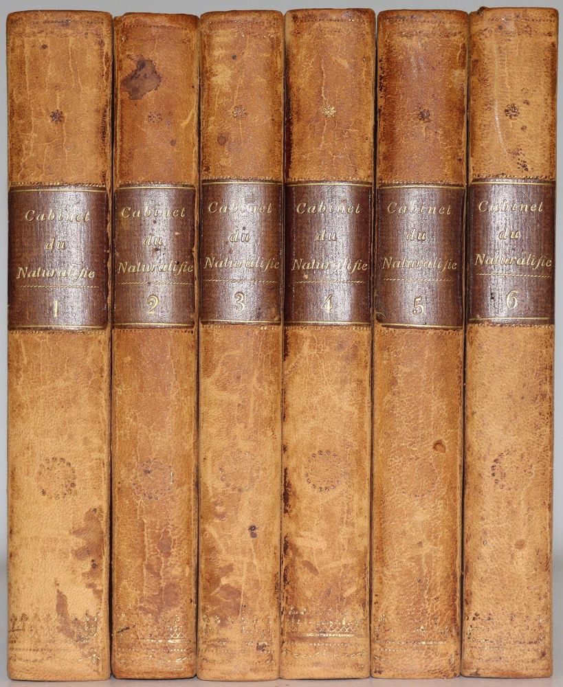 Große Abbildung Nr.4: 137-1508 Smith,T.: (Zoologie)