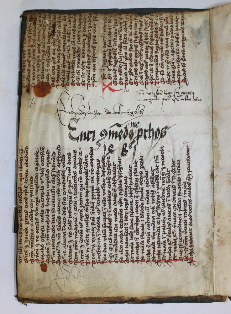 Große Abbildung Nr.3: 137-152 Conradus de Soltau.: (Handschriften)