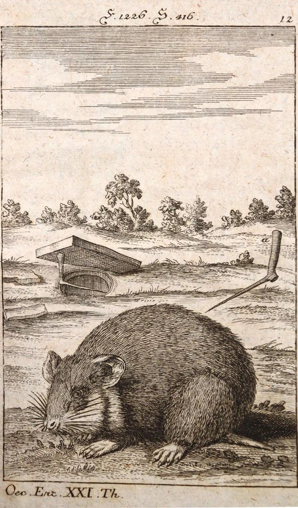 Große Abbildung Nr.1: 137-1565 Krünitz,J.G.: (Verschiedene Länder - Geschichte)