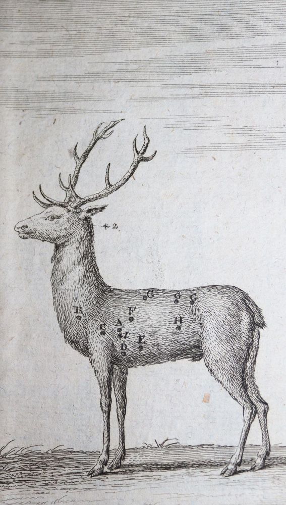 Große Abbildung Nr.1: 137-1567 Krünitz,J.G.: (Verschiedene Länder - Geschichte)