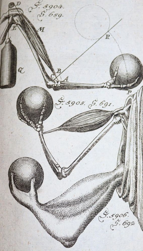 Große Abbildung Nr.1: 137-1600 Krünitz,J.G.: (Verschiedene Länder - Geschichte)