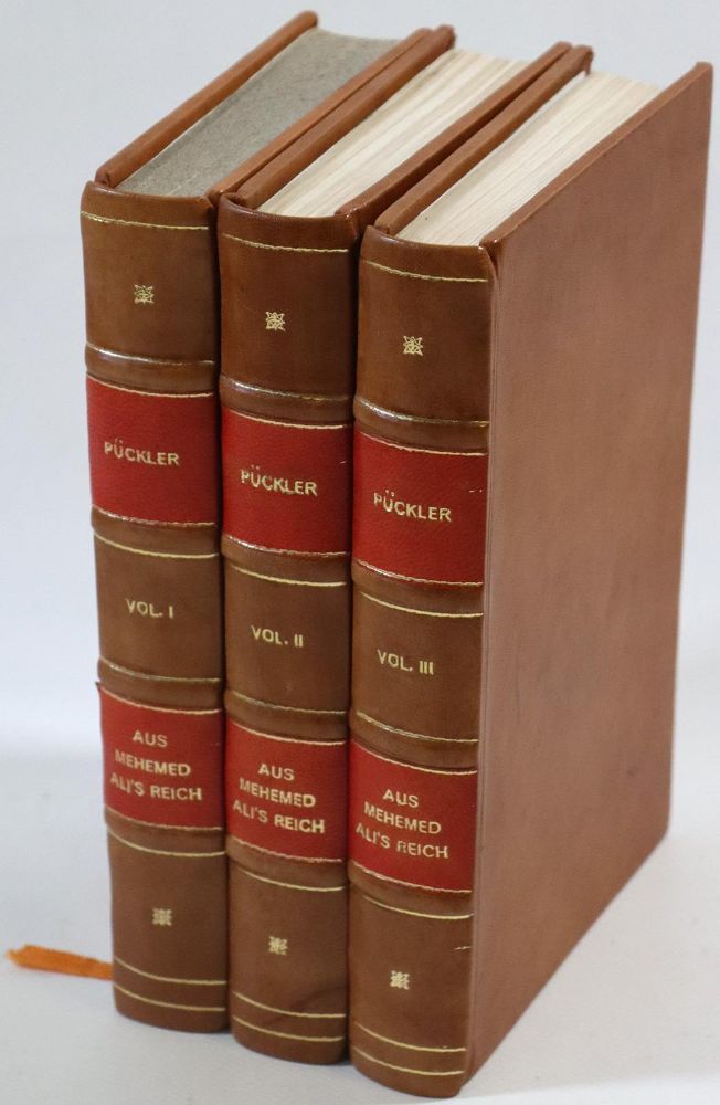 Große Abbildung Nr.3: 137-1662 (Pückler-Muskau,H.v.).: (Afrika)