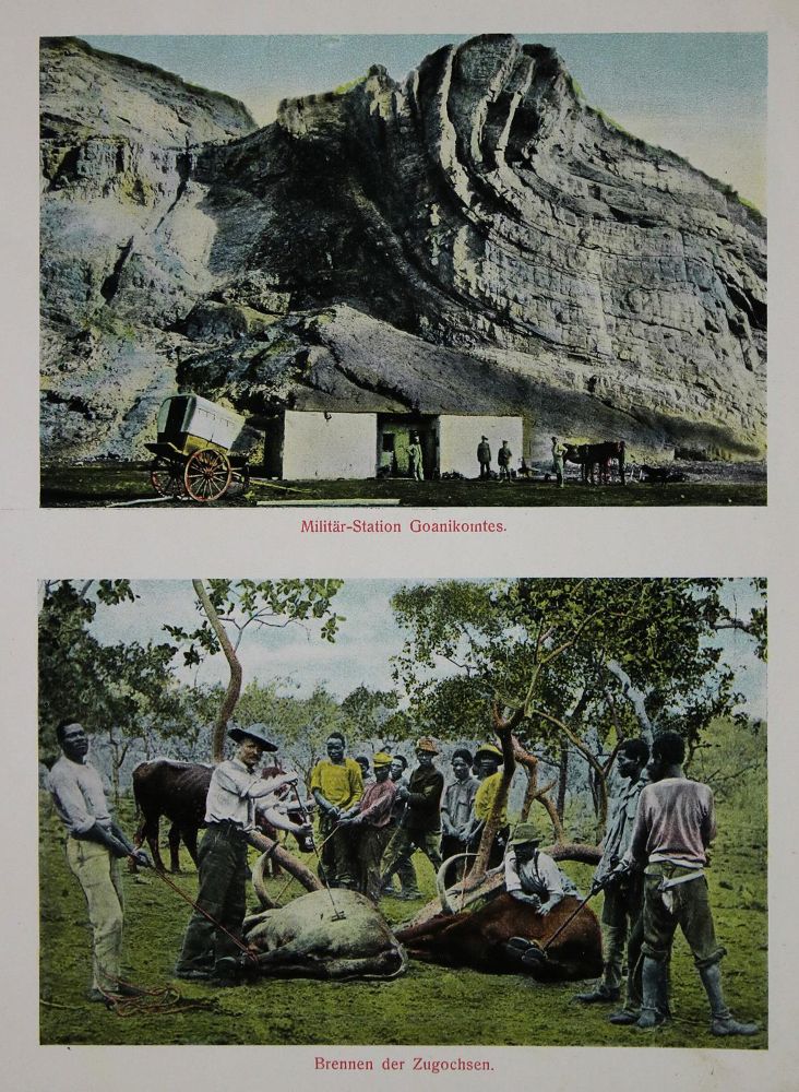 Große Abbildung Nr.6: 137-1663 Seidel,A.: (Afrika)