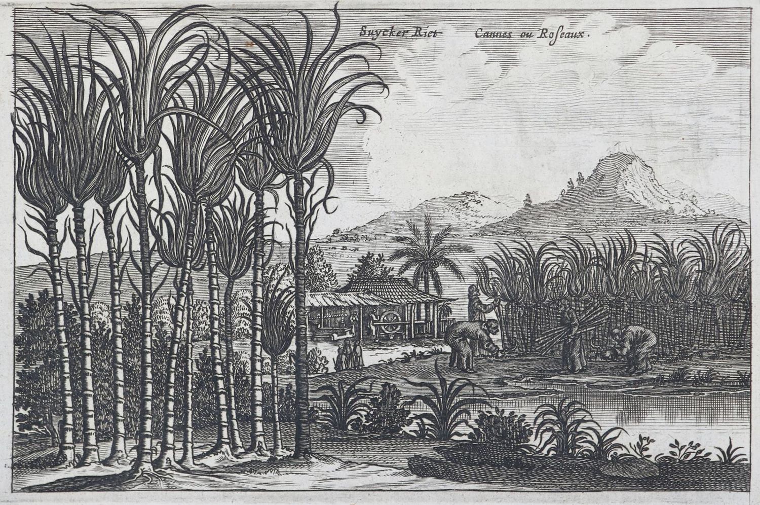 Große Abbildung Nr.4: 137-1708 Nieuhof,J.: (Asien, China)