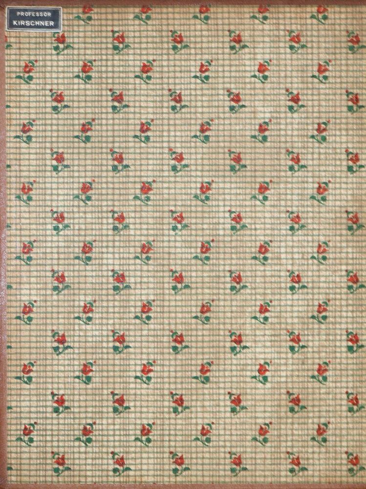 Große Abbildung Nr.2: 137-1711 Kirschner,M.: (Asien, Indien, Ceylon)