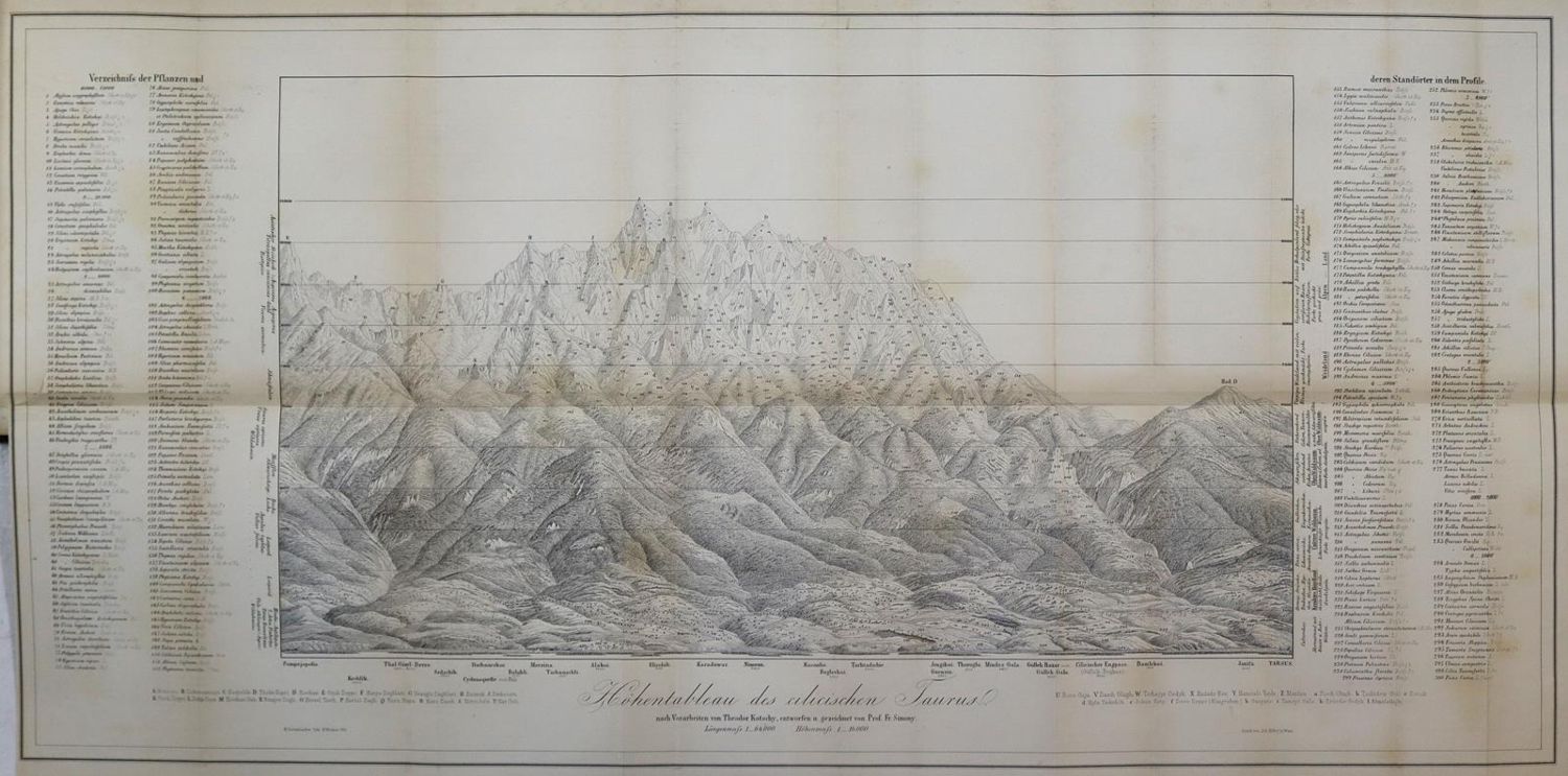 Große Abbildung Nr.4: 137-1723 Kotschy,T.: (Asien)