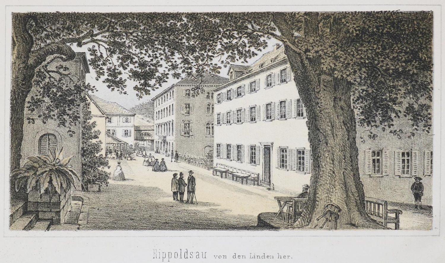 Große Abbildung Nr.1: 137-1869 Sprüngli,J.: (Deutschland, Rippoldsau, Griesbach)