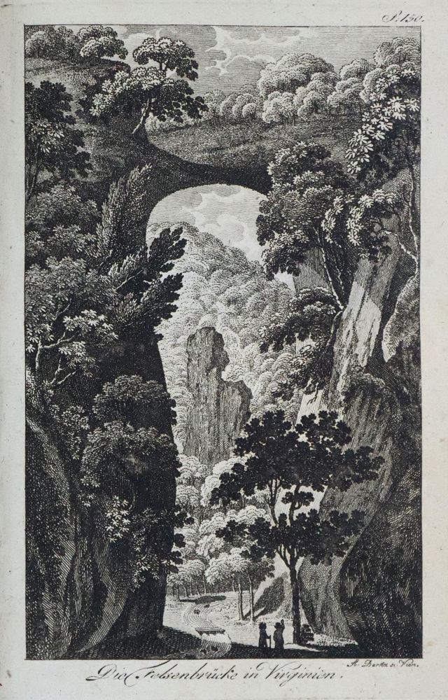 Große Abbildung Nr.1: 137-2033 Bibliothek: (Verschiedene Länder - Geschichte)