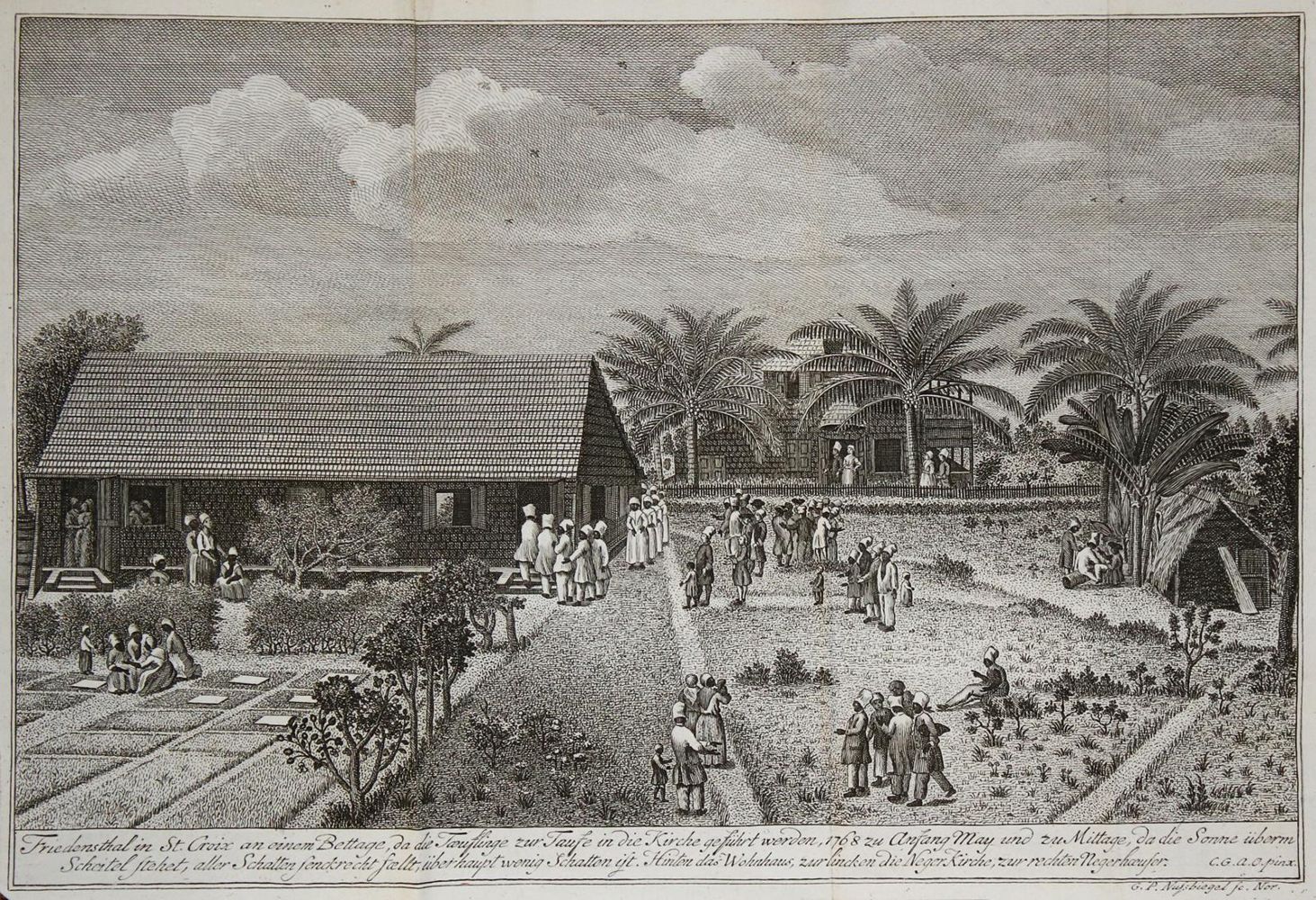 Große Abbildung Nr.7: 137-2075 Oldendorp,C.G.A.: (Verschiedene Länder - Geschichte)