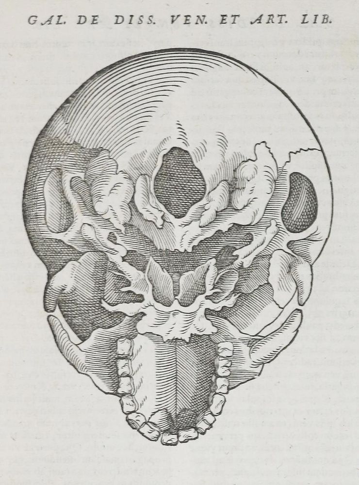 Große Abbildung Nr.2: 137-219 Lacuna,A.: (Alte Drucke, Handschriften und Theologie)