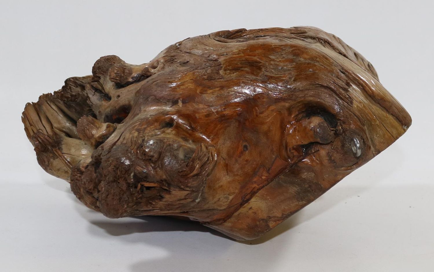 Große Abbildung Nr.3: 137-2506 Wurzelholzschnitzerei.: (Skulpturen - Plastiken)