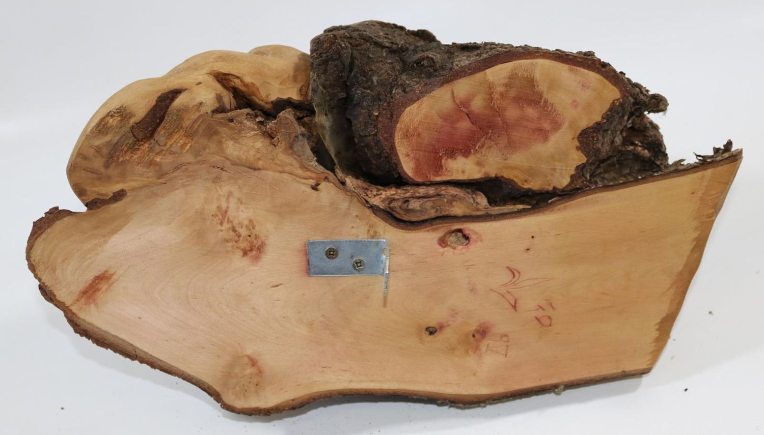 Große Abbildung Nr.8: 137-2506 Wurzelholzschnitzerei.: (Skulpturen - Plastiken)