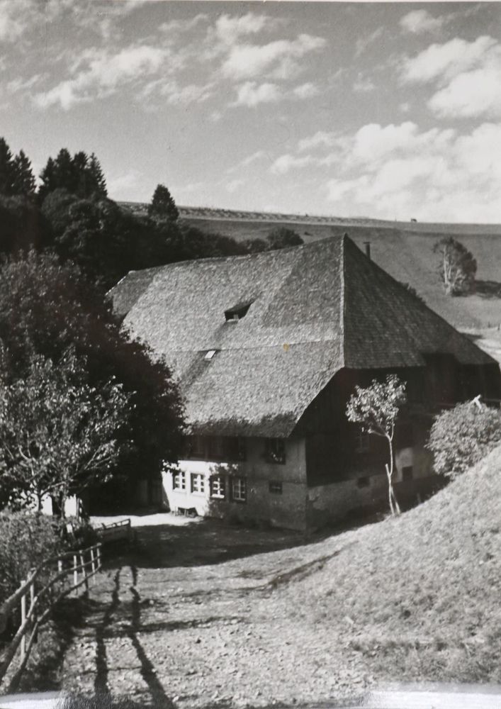 Große Abbildung Nr.2: 137-2599 Billmann, Photo,: (Schwarzwald)